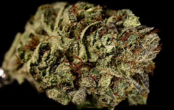 Triple Diesel